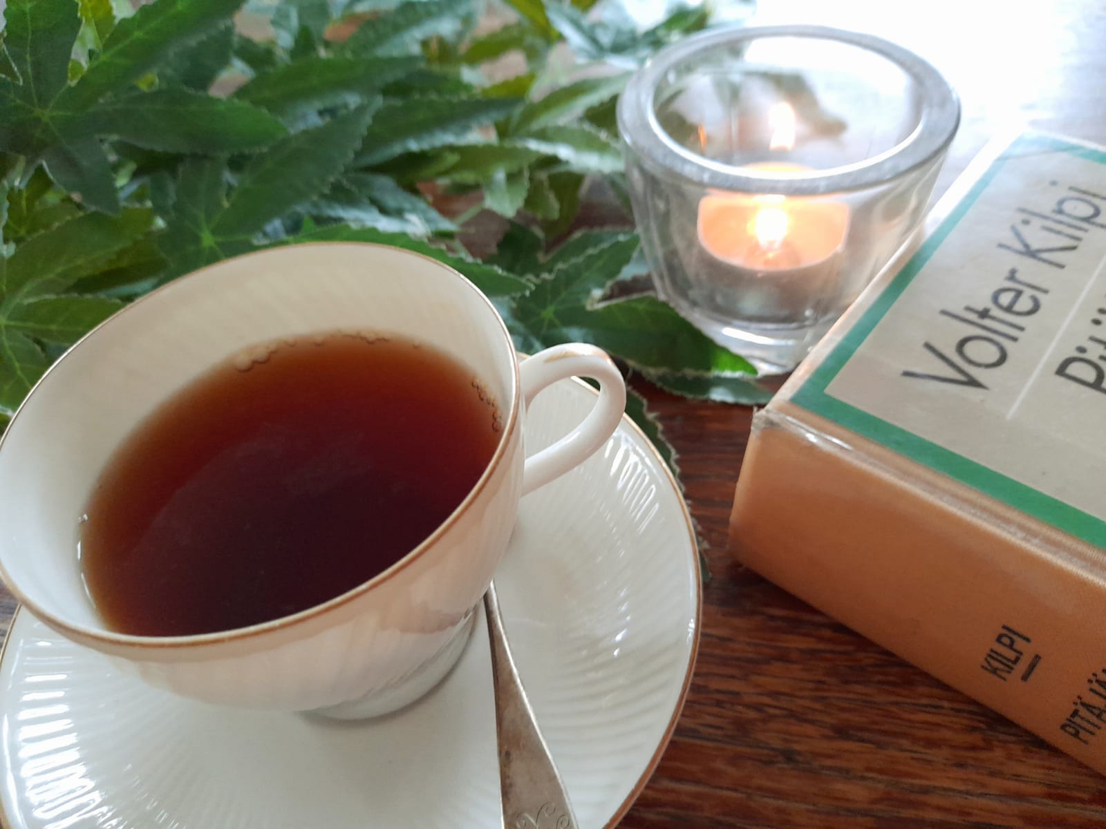 Read more about the article Kustavin kirjallisuusyhdistys kutsuu kaikki toiminnasta kiinnostuneet syyskokoukseen Tuulentuvalle